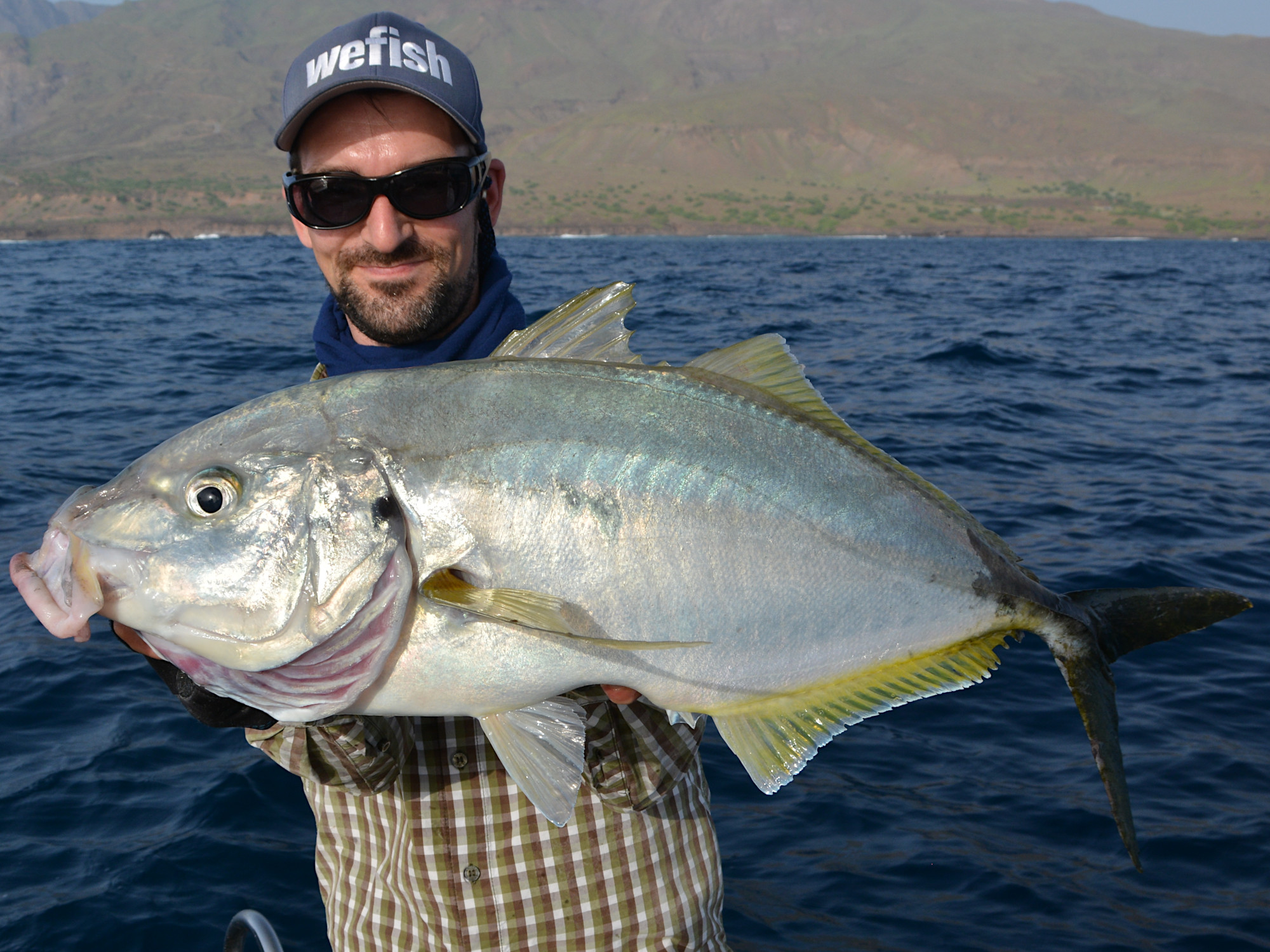 White trevally (Pseudocaranx dentex) beim Angeln, Cabo verde