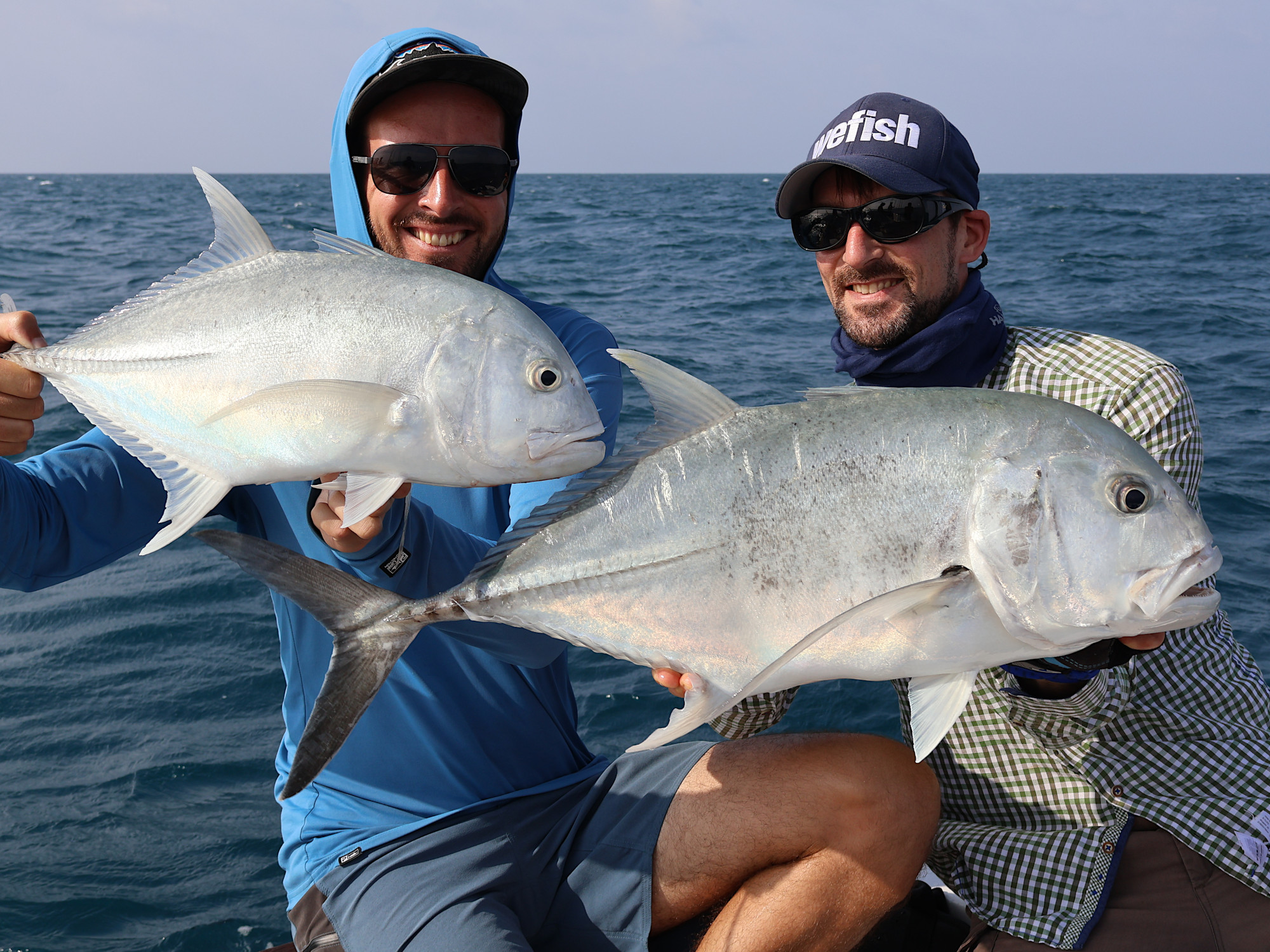 Doppelfang Giant trevally (Caranx ignobilis), Malediven
