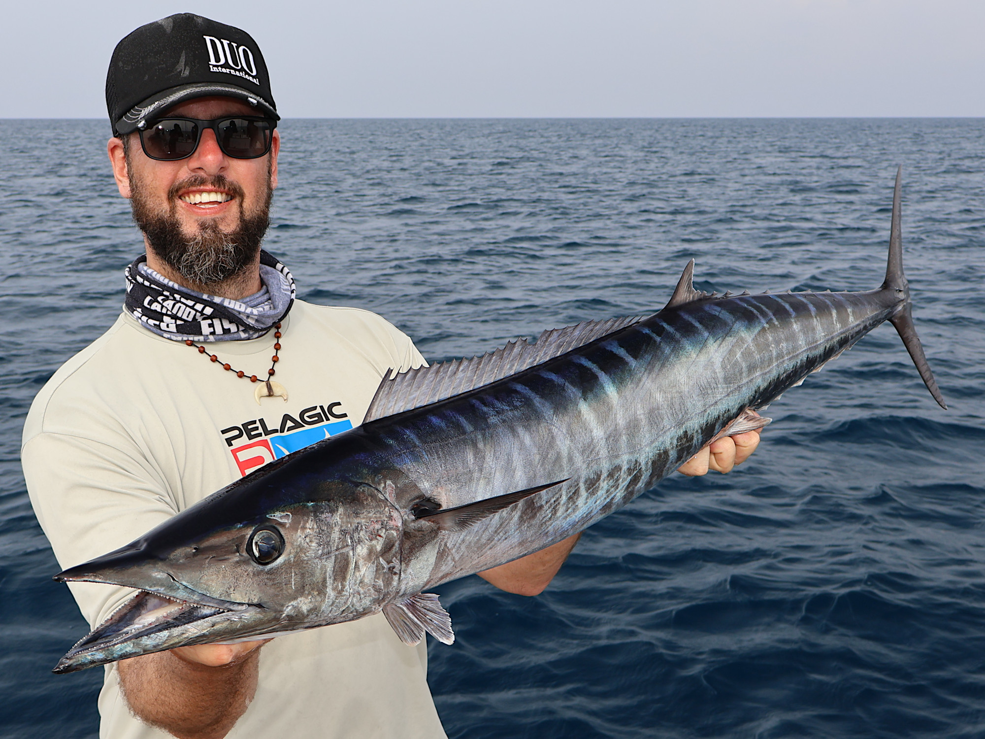 Wahoo (Acanthocybium solandri) beim Jiggen, Malediven