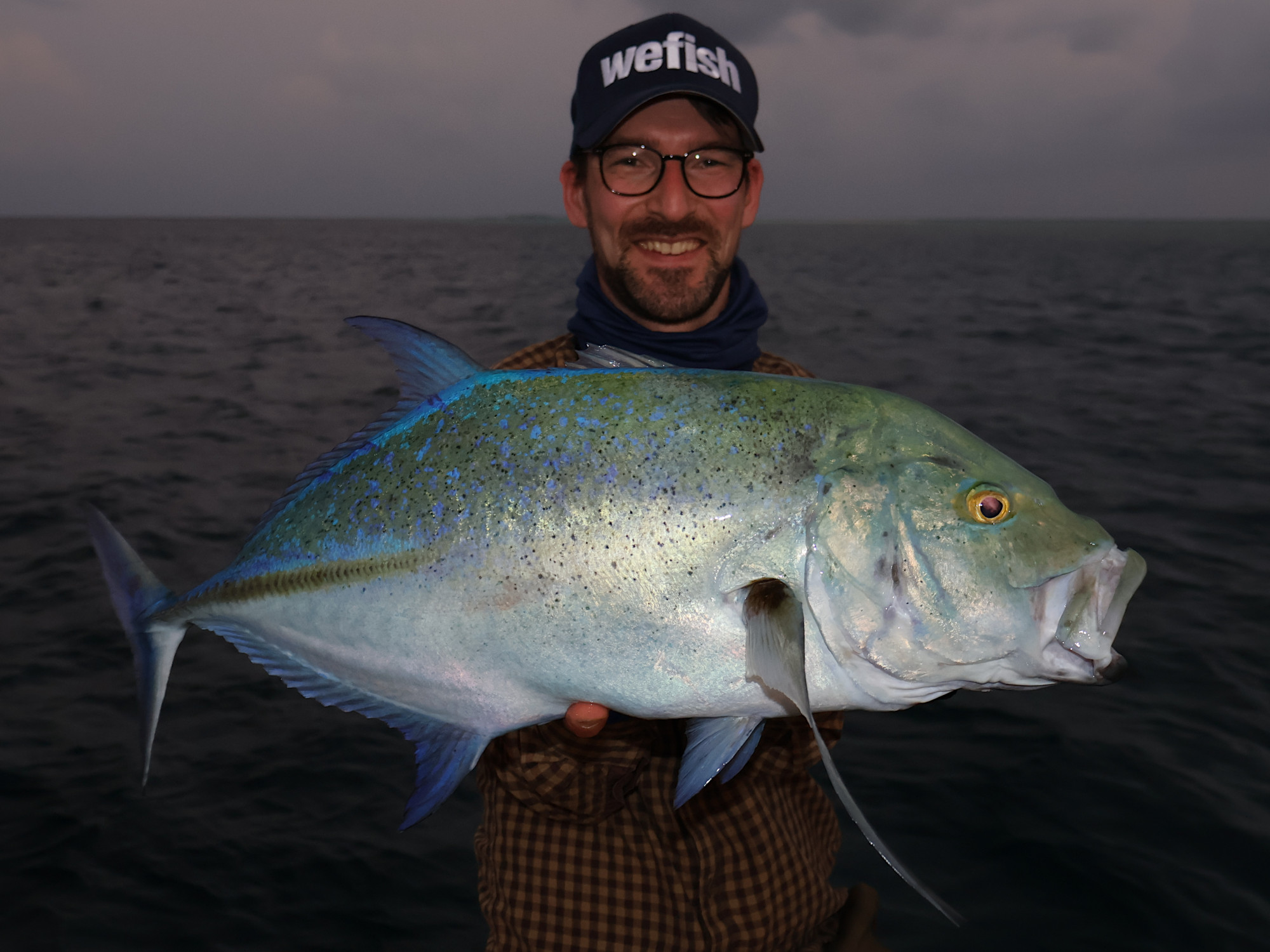 Bluefin trevally (Caranx melampygus) in der Dämmerung