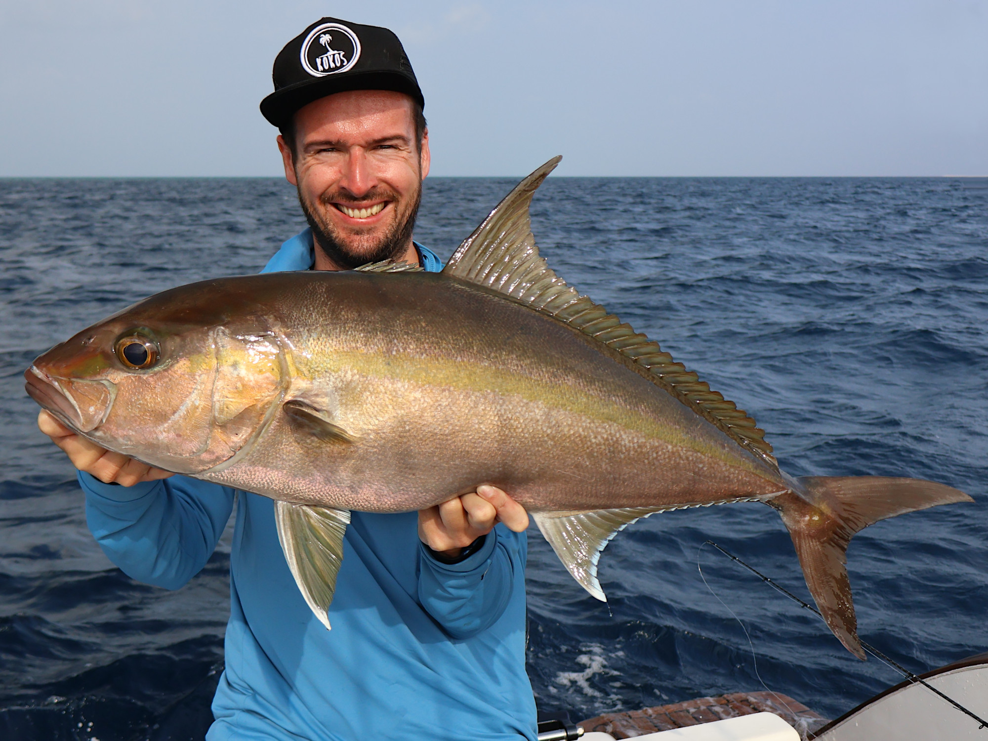 Greater Amberjack (Seriola dumerili) beim Jiggen, Indischer Ozean
