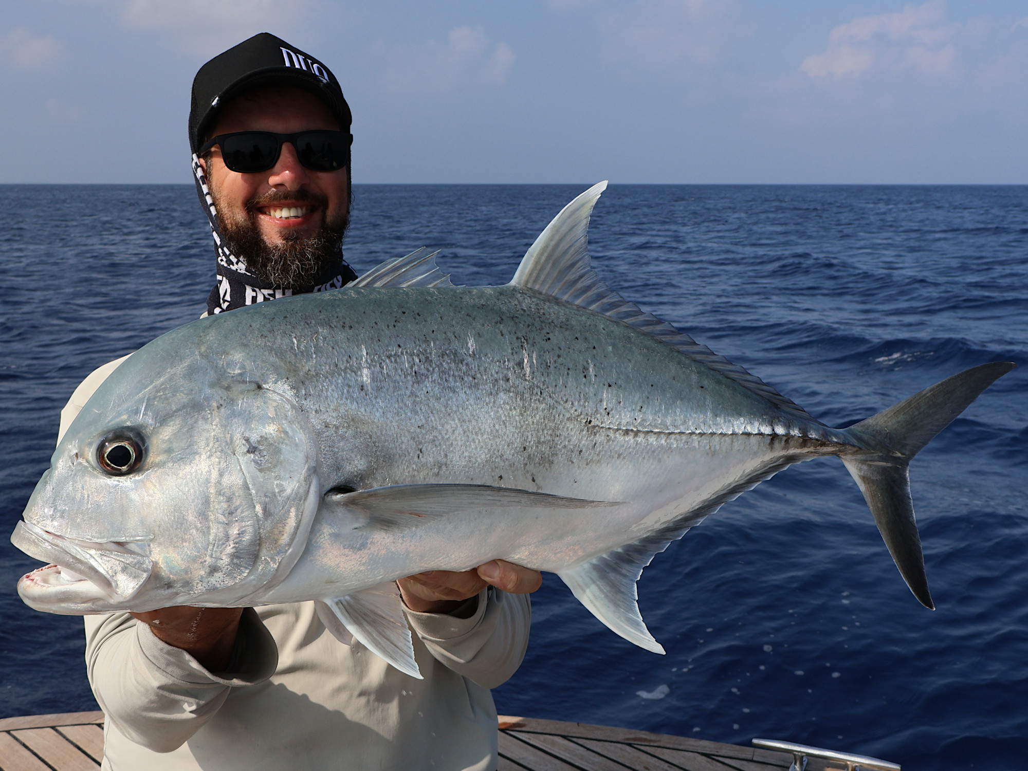 Schöner Giant trevally (Caranx ignobilis), Malediven