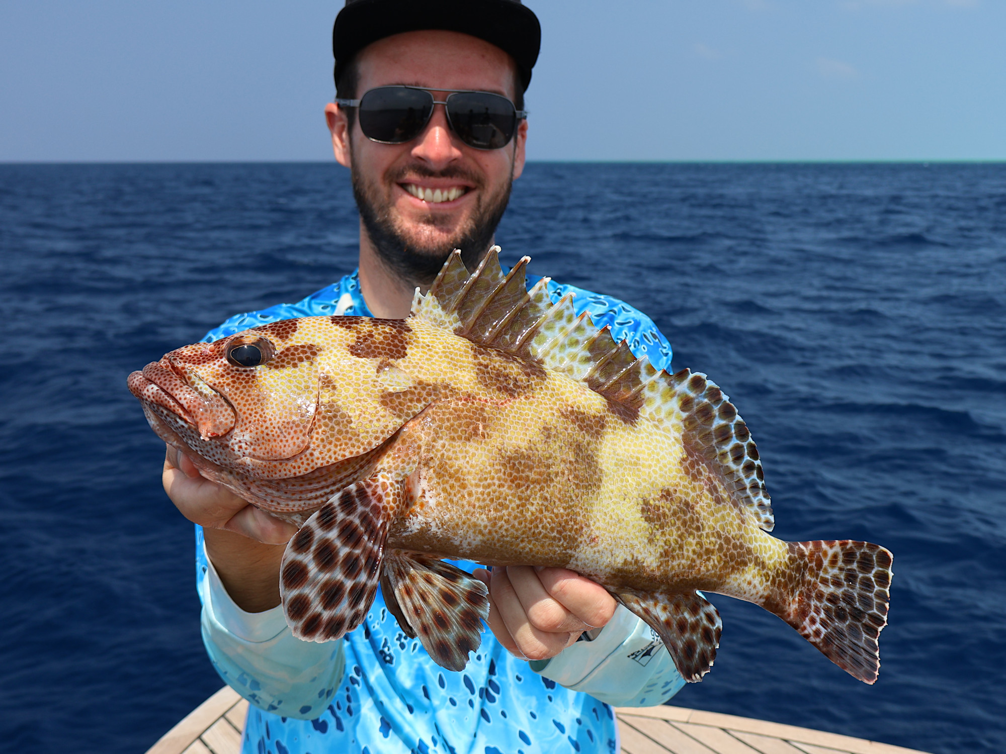 Stierkopf-Zackenbarsch (Epinephelus fuscoguttatus) auf slow jig