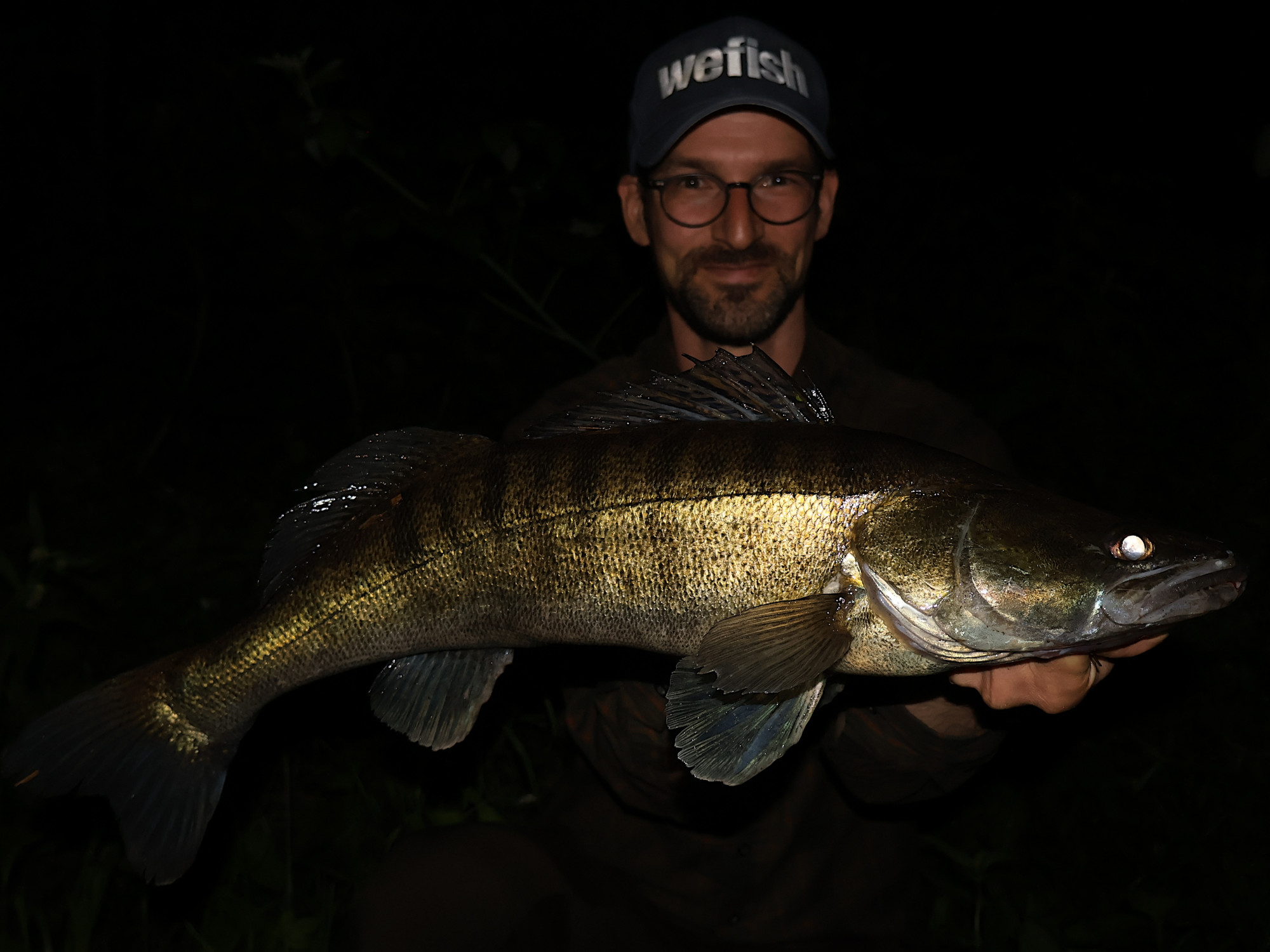 Zander beim sommerlichen Köderfischangeln an der Spree 