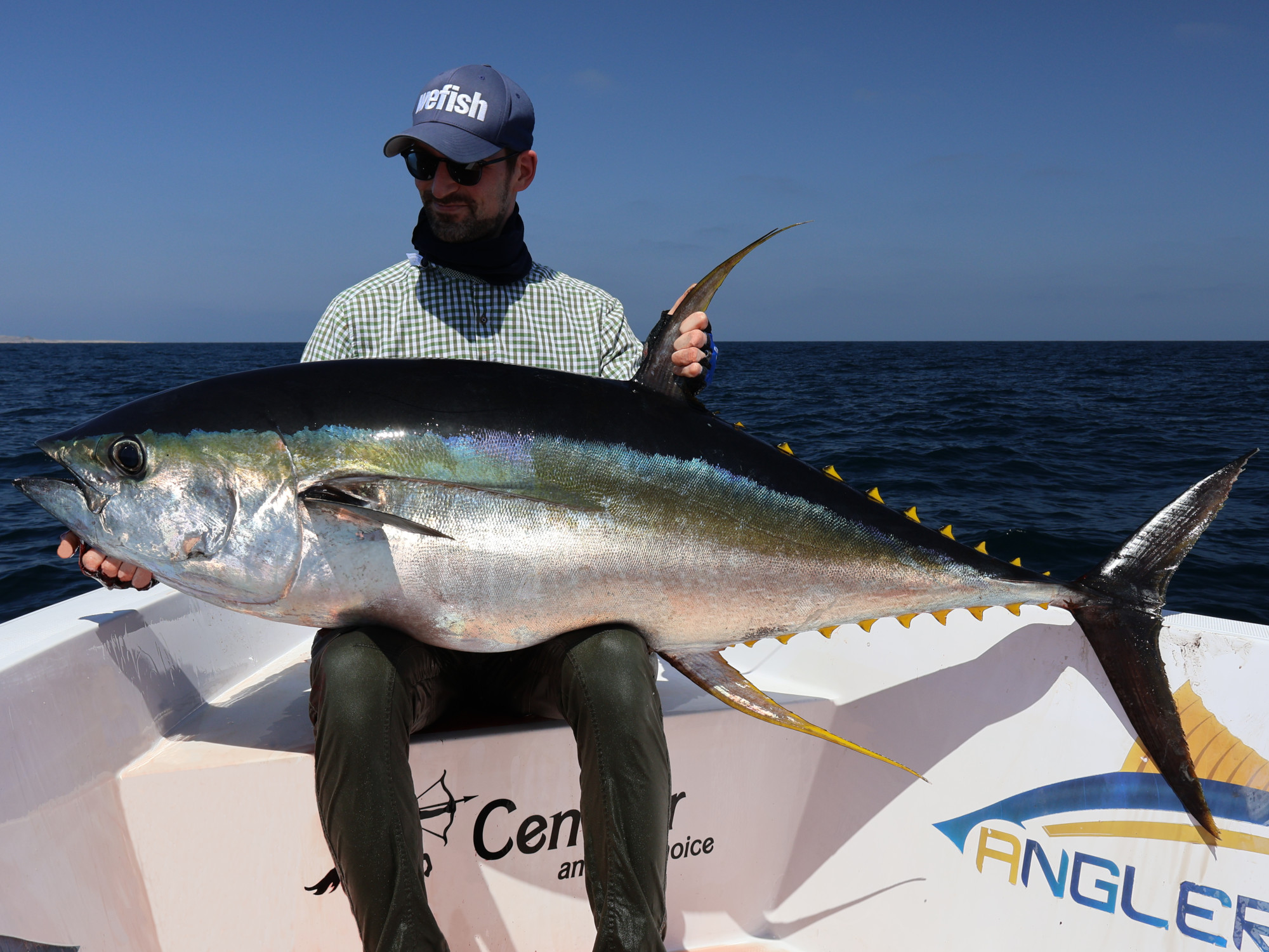 Großer Gelbflossenthun (Yellowfin tuna, Thunnus albacares), Oman