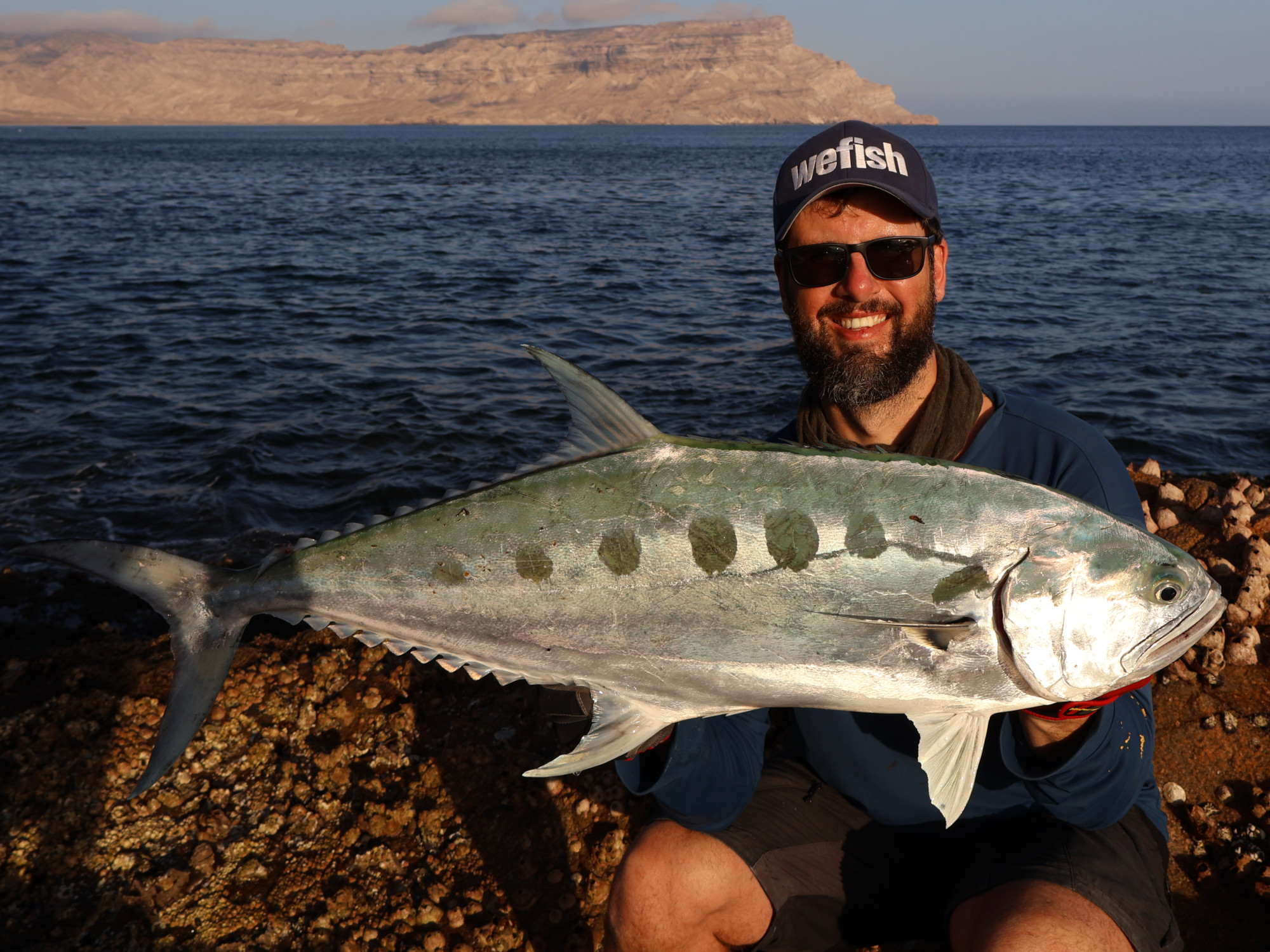 Talang Queenfish (Scomberoides commersonnianus) Shore jigging, Oman Talang Queenfish (Scomberoides commersonnianus) Shore jigging, Oman