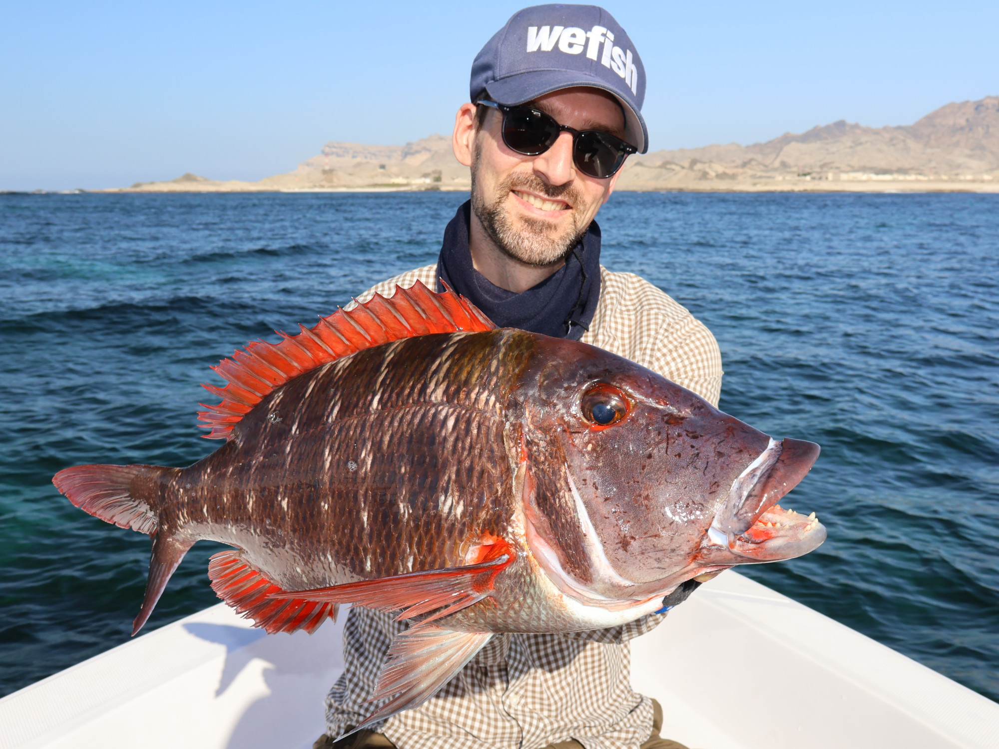 Redthroat Emperor (Lethrinus miniatus), Oman Redthroat Emperor (Lethrinus miniatus), Oman