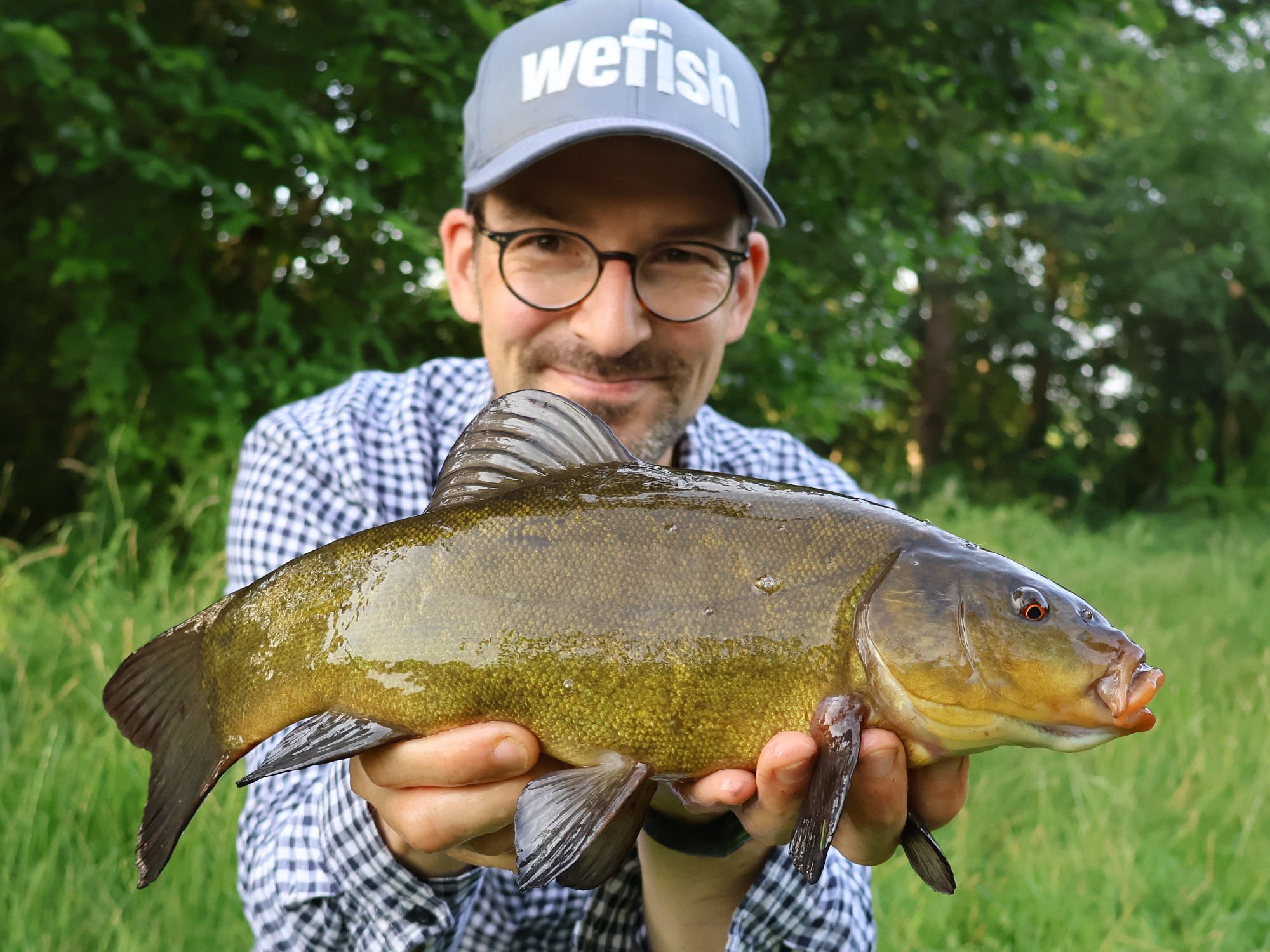 Schleie (Tinca tinca) beim Fischen mit Method feeder Schleie (Tinca tinca) beim Fischen mit Method feeder
